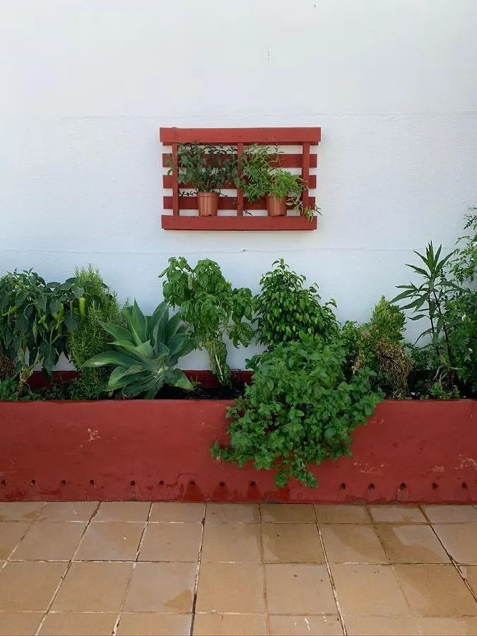 Atico La Ilusion Con Parking Apartment Sanlucar de Barrameda