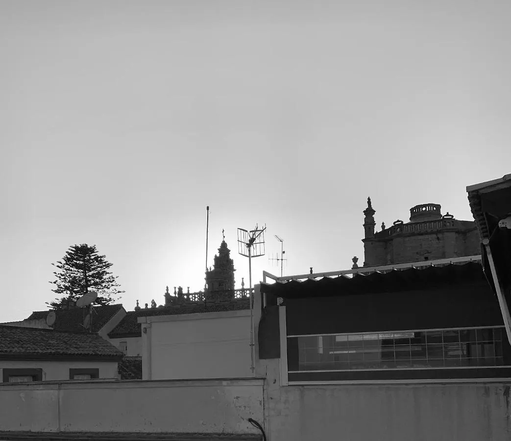 Atico La Ilusion Con Parking Apartment Sanlucar de Barrameda Spain